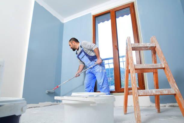 Best Mold-Related Health Consultation  in Mountain Lake, MN