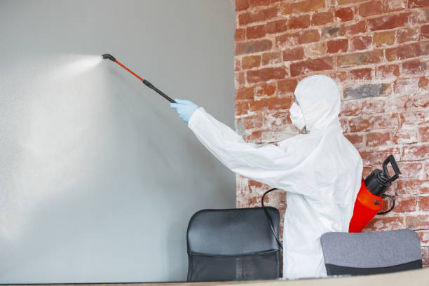 Best Commercial Mold Inspection  in Mountain Lake, MN