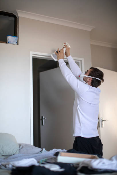 Best Water Damage & Mold Remediation  in Mountain Lake, MN