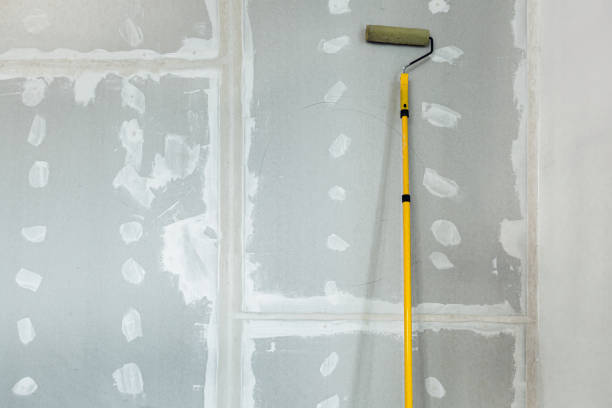 Environmental Consulting for Mold Prevention in Mountain Lake, MN
