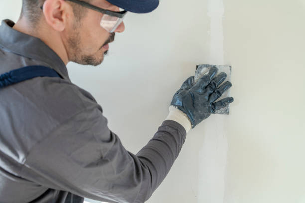 Best Mold Remediation for Healthcare Facilities  in Mountain Lake, MN