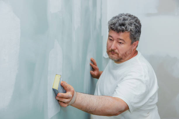Best Real Estate Mold Inspection  in Mountain Lake, MN