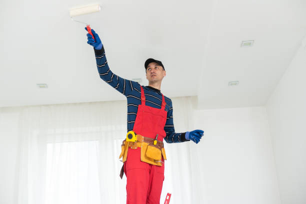 Best Emergency Mold Remediation  in Mountain Lake, MN