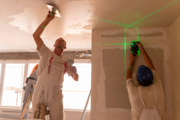Best Post-Remediation Verification Testing  in Mountain Lake, MN