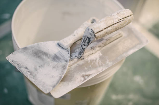 Best Mold Damage Restoration  in Mountain Lake, MN